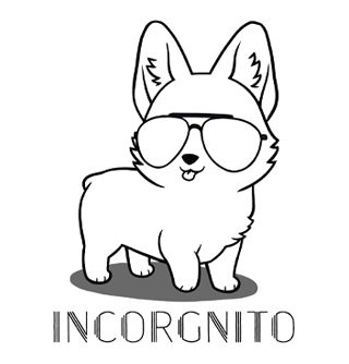 File:Incorgnito.jpg