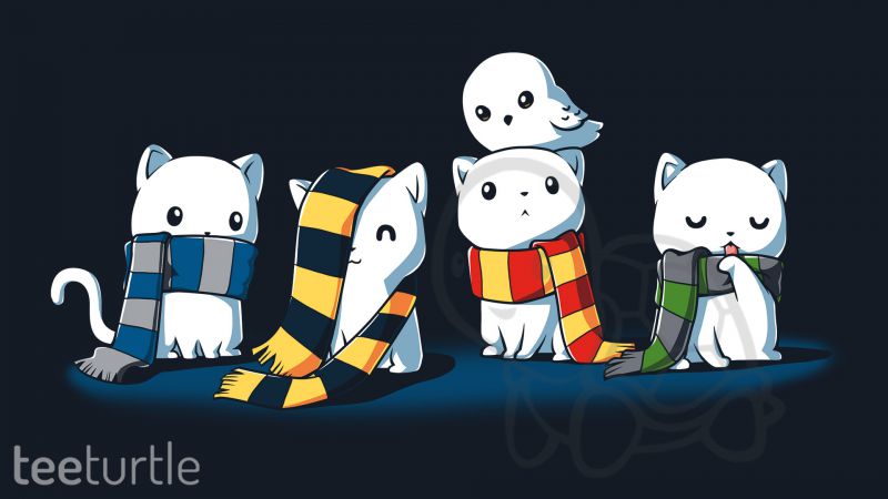 File:TeeTurtle-house-cats-1920x1080.jpg