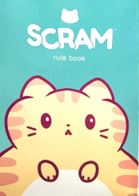 Scr-Rulebook.png