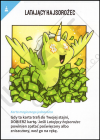 UU-Base-036-2P-Polish.png