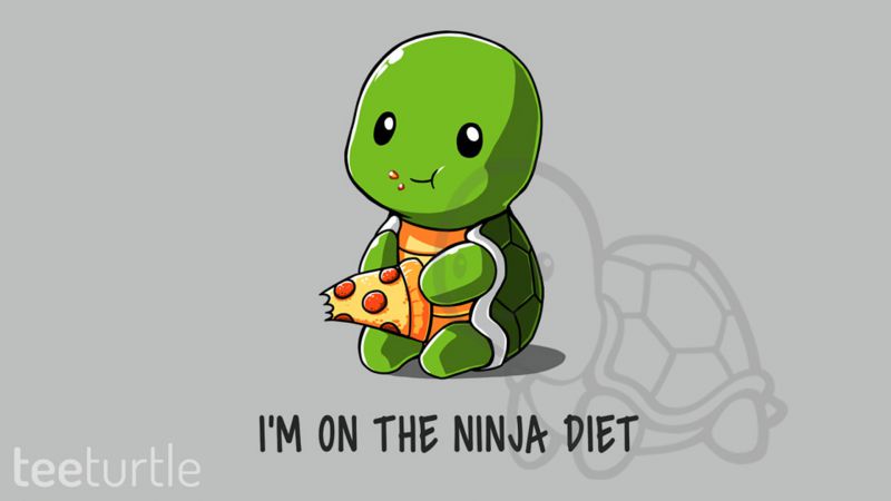 File:TeeTurtle-ninja-diet-1920x1080.jpg