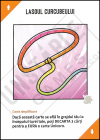 UU-Base-092-RO.png